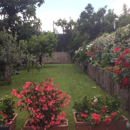 Giardino Sorrentino Bed & Breakfast Exterior foto