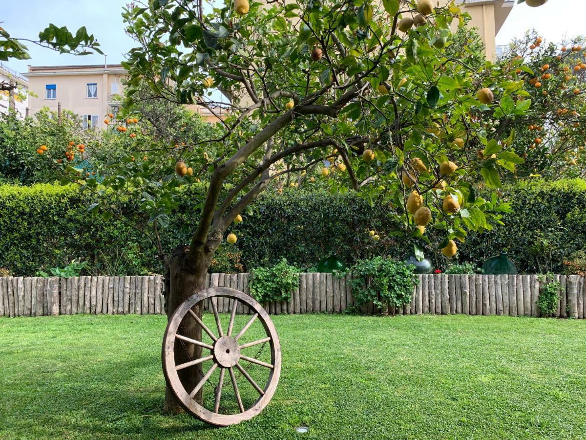 Giardino Sorrentino Bed & Breakfast Exterior foto